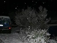 P1120818.webp
