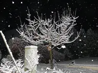 P1120820.webp