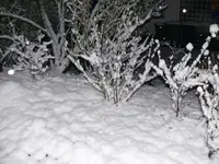 P1120823.webp