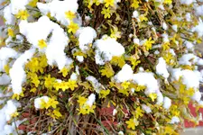 2018-02-04-3258.webp