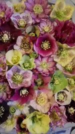 IMG_20180206_173124.webp