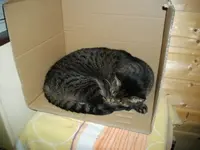 IMGP5771.webp