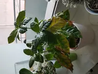 20180208_083105.webp