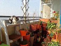 c049.webp