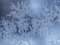 image001.webp