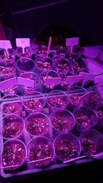 IMG_20180208_193549.webp