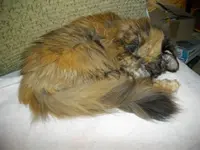 IMGP5777.webp