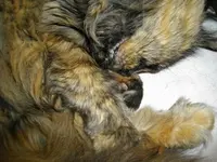 IMGP5780.webp