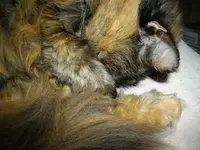 IMGP5779.webp