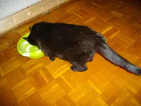 IMGP4644.webp