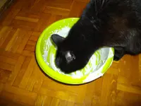 IMGP4643.webp