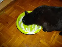 IMGP4642.webp