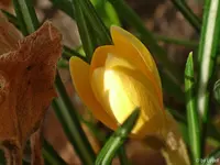 c064_2017.webp