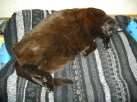 IMGP4656.webp