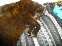 IMGP4655.webp