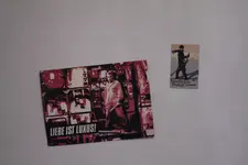 _MG_1354.webp _MG_1354.webp