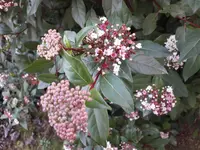 20180212_171813.webp