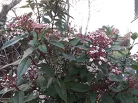 20180212_171805.webp