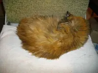 IMGP5781.webp