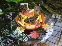 DSC02579.webp