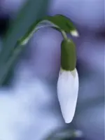 image001.webp