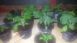 20180212_215846.webp