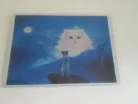 20180212_124934.jpg