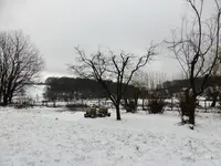 P1080873.webp