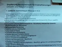 P1170717.webp