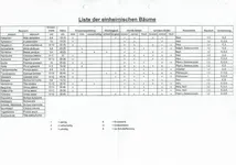 Bäume.webp