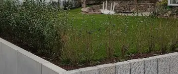 Uebersicht Liguster - Kopie.webp