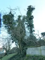 image001.webp