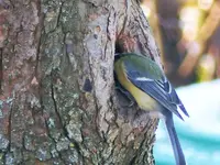 image001.webp