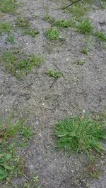 20170509_173437.webp