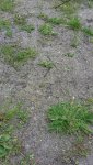20170509_173437.jpg