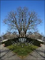 c007.webp