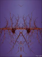 c006a.webp