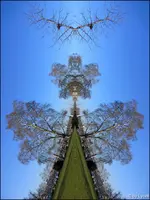c005.webp