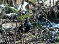 DSCF0787 (2).webp