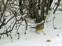 DSCF0757 (2).webp