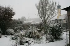 Winter3418.webp