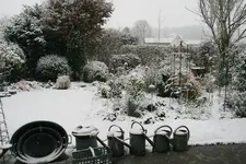Winter3518.webp