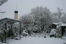 Winter4418.webp