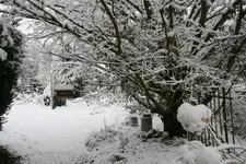 Winter4718.webp