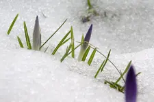 IMGP2169.webp