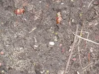 P1020280.webp