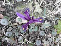 P1020270.webp
