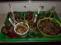 IMG_20180219_202754.webp