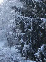 BILD8903.JPG