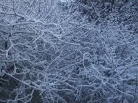 BILD8902.webp